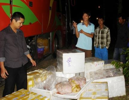 pháp luật huế, hue 24h, tin tuc hue