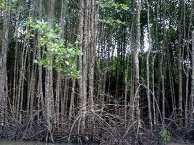 bien doi khi hau, thua thien hue, tin tuc hue