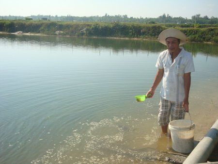 kinh tế huế, hue 24h, tin tức Huế