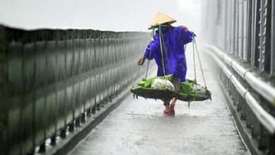 nguoi hue, tin tuc hue