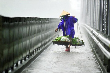 nguoi hue, tin tuc hue