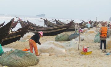 Chuẩn bị ra khơi