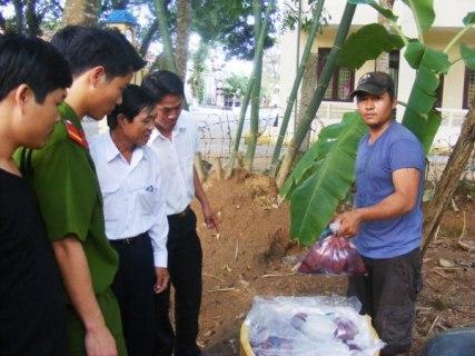 tieu huy noi tang